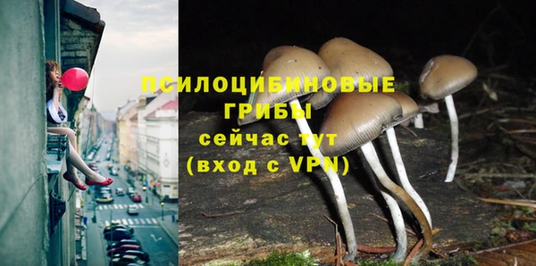 герыч Весьегонск
