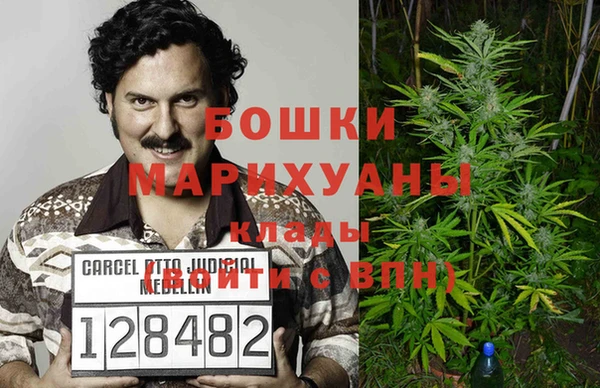 PSILOCYBIN Новокубанск