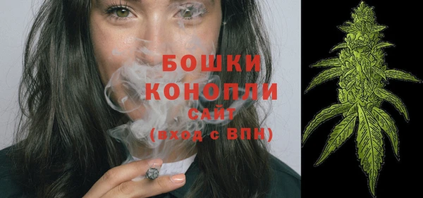 PSILOCYBIN Новокубанск
