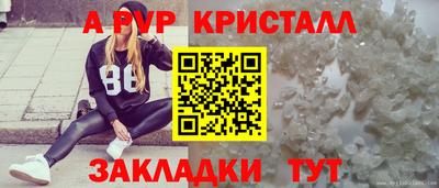 твердый Гай