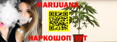 стаф Гатчина