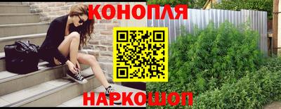 шишки Гагарин
