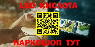 стаф Гатчина