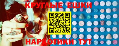 стаф Гатчина