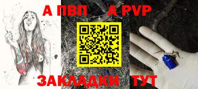 стаф Гатчина