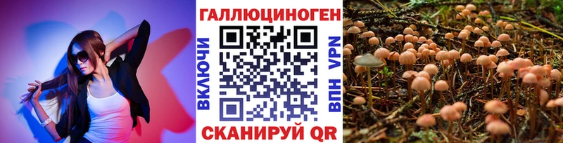 Галлюциногенные грибы GOLDEN TEACHER Новоалтайск