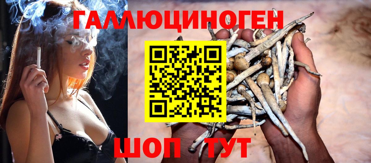 где продают наркотики  Псилоцибиновые грибы Magic Shrooms  Вход с VPN  Новоалтайск 