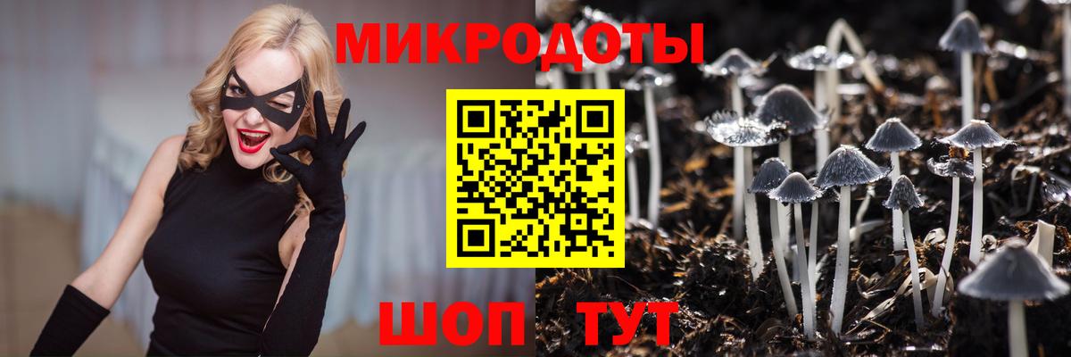 Галлюциногенные грибы GOLDEN TEACHER  Новоалтайск 