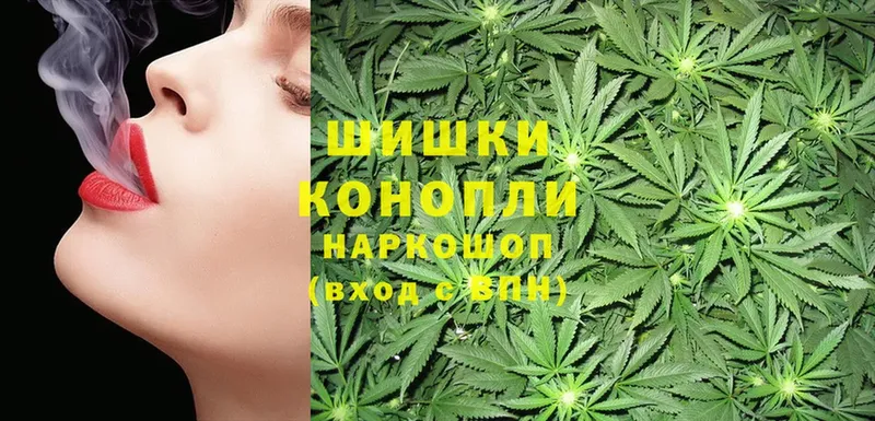 Конопля OG Kush  Новоалтайск 