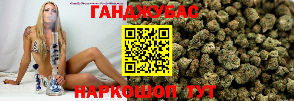 Бошки марихуана SATIVA & INDICA  МАРИХУАНА план  Новоалтайск  Бошки марихуана конопля 